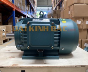 Motor điện YE2-180L-4 22KW