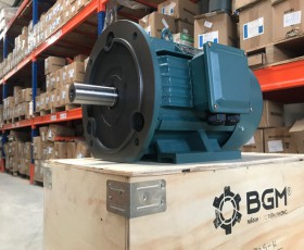 Motor điện YE2-225S-4 37Kw