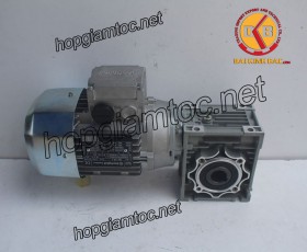 Motor giảm tốc cốt âm 0.18kw 1/10