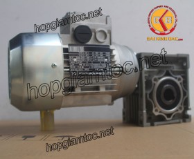 Motor giảm tốc cốt âm 0.18kw 1/100
