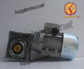 Motor giảm tốc cốt âm 0.18kw 1/20