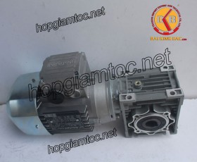 Motor giảm tốc cốt âm 0.18kw 1/25