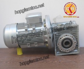Motor giảm tốc cốt âm 0.18kw 1/50