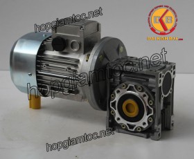 Motor giảm tốc cốt âm 0.18kw 1/60
