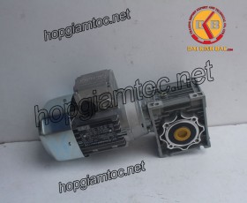 Motor giảm tốc cốt âm 0.18kw 1/7.5