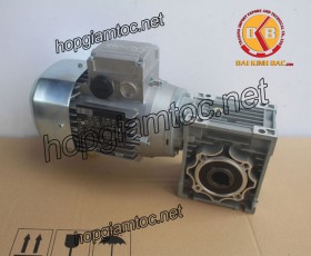 Motor giảm tốc cốt âm 0.25kw 1/10
