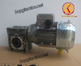 Motor giảm tốc cốt âm 0.25kw 1/100