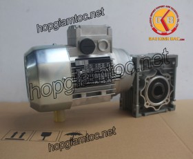 Motor giảm tốc cốt âm 0.25kw 1/15