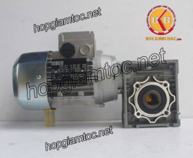 Motor giảm tốc cốt âm 0.25kw 1/20