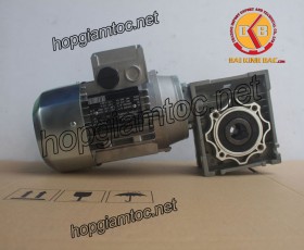 Motor giảm tốc cốt âm 0.25kw 1/40