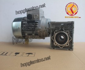 Motor giảm tốc cốt âm 0.25kw 1/5