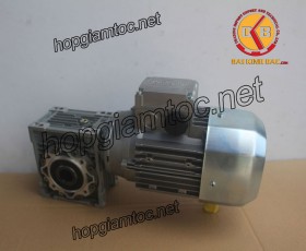 Motor giảm tốc cốt âm 0.25kw 1/50