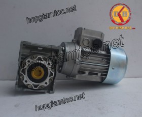 Motor giảm tốc cốt âm 0.25kw 1/7.5