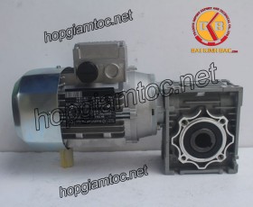 Motor giảm tốc cốt âm 0.37kw 1/100
