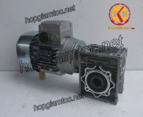 Motor giảm tốc cốt âm 0.37kw 1/15