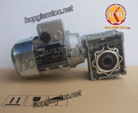 Motor giảm tốc cốt âm 0.37kw 1/20