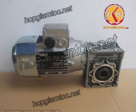 Motor giảm tốc cốt âm 0.37kw 1/40