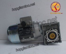Motor giảm tốc cốt âm 0.55kw 1/20