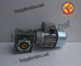 Motor giảm tốc cốt âm 0.55kw 1/5
