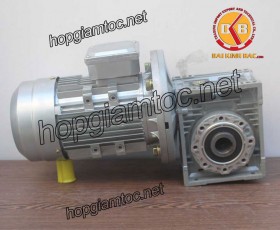 Motor giảm tốc cốt âm 0.75kw 1/100