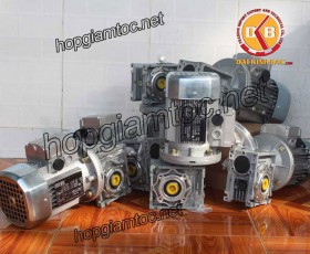 Motor giảm tốc cốt âm 1.1kw 1/100