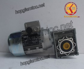Motor giảm tốc cốt âm 1.1kw 1/25