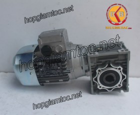 Motor giảm tốc cốt âm 1.5kw 1/15