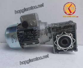 Motor giảm tốc cốt âm 1.5kw 1/25