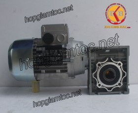 Motor giảm tốc cốt âm 1.5kw 1/40