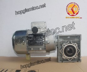 Motor giảm tốc cốt âm 1.5kw 1/5
