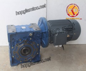 Motor giảm tốc cốt âm 3.7kw 1/20