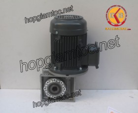 Motor giảm tốc cốt âm 3kw 1/15