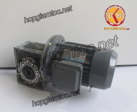 Motor giảm tốc cốt âm 3kw 1/30