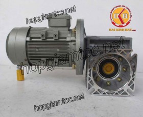 Motor giảm tốc cốt âm 3kw 1/60