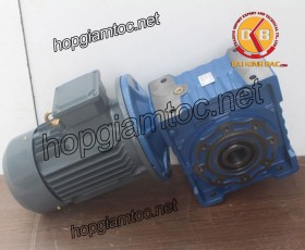 Motor giảm tốc cốt âm 7.5kw 1/50