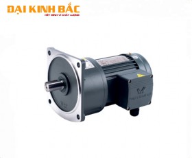 MOTOR GIẢM TỐC KIỂU MẶT BÍCH