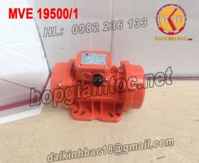 MOTOR RUNG OLI 11.96KW MVE 19500/1