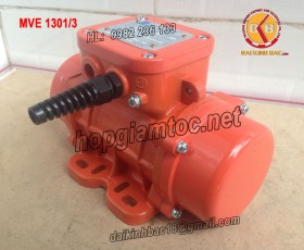 MOTOR RUNG OLI 1.3KW MVE 1301/3