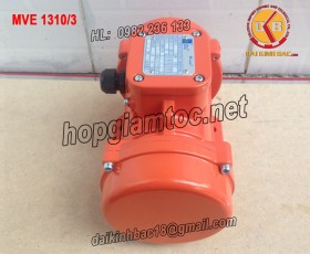 MOTOR RUNG OLI 1.3KW MVE 1310/3