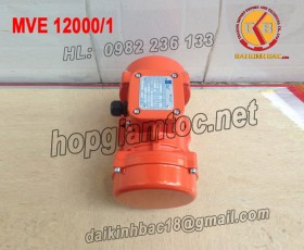 MOTOR RUNG OLI 7.99KW MVE 12000/1