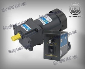 Speed control motor 140w 6IK140RGU-CF