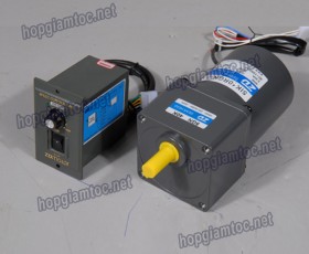 Speed control motor 15w 3IK15RGN-C