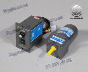 Speed control motor 25W 4IK25RGN-C