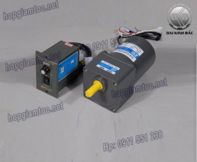 Speed control motor 40w 5IK40RGN-C
