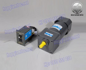 Speed control motor 90w 5IK90RGU-CF