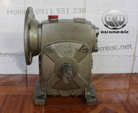 Thông số hộp giảm tốc trục vít WPDS
